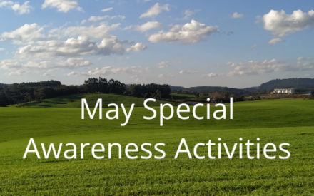 May Matters: Special Awareness Activities